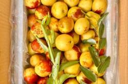 赤峰冬棗采摘園地址電話號(hào)碼