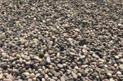 赤峰環(huán)保屋供應(yīng)商電話號(hào)碼