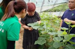 赤峰蔬菜代采電話是多少號(hào)