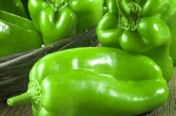 赤峰蔬坊蔬菜配送電話號(hào)碼