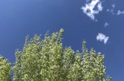 赤峰林西糧庫電話號碼查詢