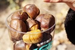 赤峰好吃的栗子店電話號碼