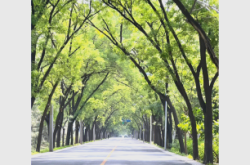 赤峰到各地的航班