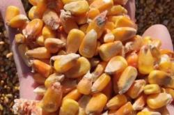 赤峰松山區(qū)煙草公司電話是多少