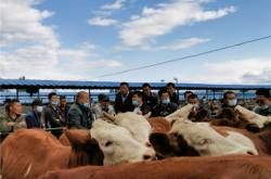 赤峰到林西統(tǒng)部客車電話號碼