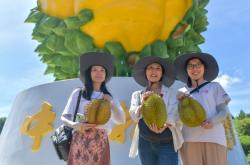 赤峰市區(qū)榴蓮采摘園電話號碼