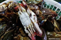 赤峰財(cái)神養(yǎng)殖場地址電話號碼