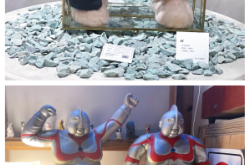 赤峰diy氈毛玩偶店電話號碼