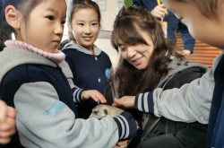 赤峰小動物衣服店電話號碼