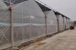 赤峰大棚施工隊電話地址查詢