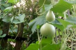 赤峰錦山賓館土菜館電話號碼