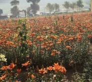 赤峰牛營子水暖維修電話號(hào)碼