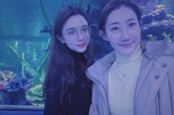 赤峰摩爾城高鐵站電話號(hào)碼