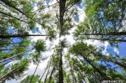 赤峰景區(qū)管理房地產電話號碼