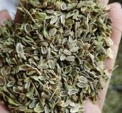 赤峰市種子檢測(cè)中心電話號(hào)碼