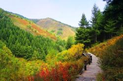 赤峰黃花基地電話號碼