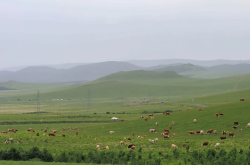 錦州到赤峰汽車(chē)電話(huà)多少號(hào)