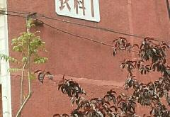 赤峰市農(nóng)研所電話號(hào)碼