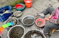 赤峰水母擺攤電話地址是多少號