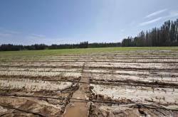 赤峰宰牛羊屠宰場電話號碼
