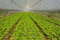 赤峰公路保溫草簾廠電話號碼