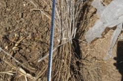 赤峰廢機(jī)油出售電話號碼查詢