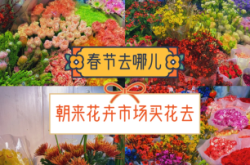赤峰花卉市場(chǎng)買(mǎi)花的電話(huà)是多少