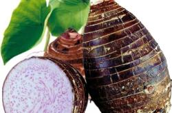 赤峰賣荔浦芋頭的地方電話號(hào)碼