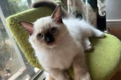 赤峰金吉拉修理電話地址查詢