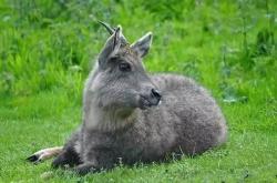 赤峰兔兔洗鞋店電話地址