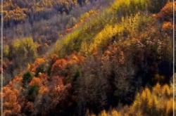 赤峰寧城抵押車(chē)電話(huà)號(hào)碼查詢(xún)