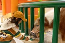 赤峰城市萌寵酒店地址電話號碼