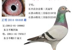 赤峰中信國(guó)金電話號(hào)碼查詢