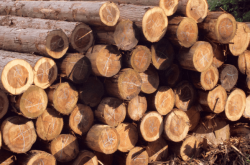 赤峰檜木團(tuán)購電話號(hào)碼查詢