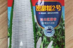 赤峰包谷種子批發(fā)電話號碼