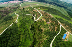 赤峰寧城火車站客服電話是多少