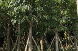 赤峰榕騰汽修廠電話號(hào)碼