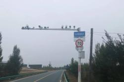 赤峰交通臺審車電話號碼