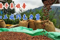 赤峰果仁加工廠家電話號(hào)碼