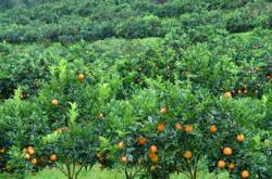 赤峰萬悅城落日基地電話號碼