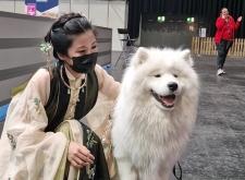 赤峰動(dòng)物園漢服店電話(huà)號(hào)碼