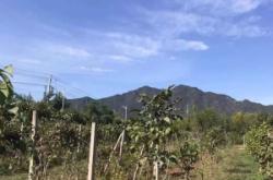 赤峰吉宇屠宰場電話號碼