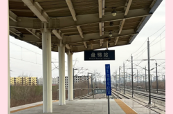 赤峰到盤(pán)錦客車(chē)車(chē)主電話(huà)號(hào)碼