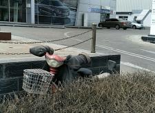 赤峰轎車改裝店電話多少號(hào)