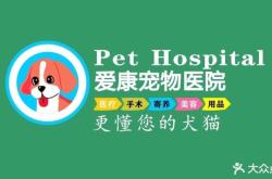 赤峰晚間寵物醫(yī)院電話多少號