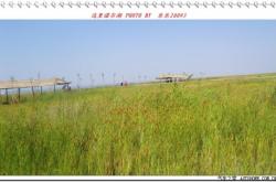 赤峰天鵝湖門票團購電話號碼