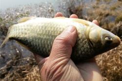 赤峰紅山水庫垂釣點電話號碼