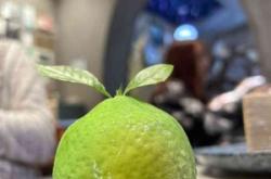 赤峰隱巷咖啡館電話號(hào)碼