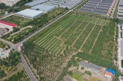 元寶山百卉園飯店圖片