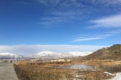 平莊到天義客車電話